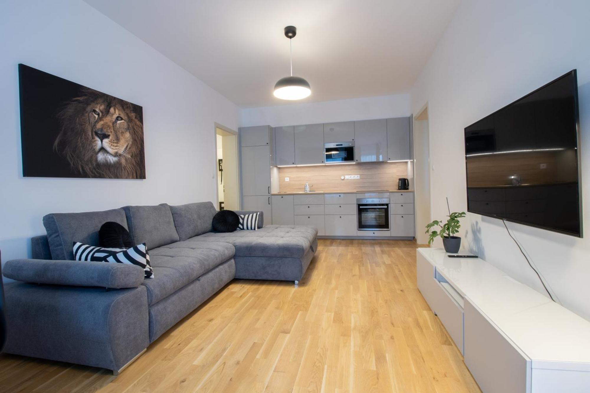 Krakovska Appartement
